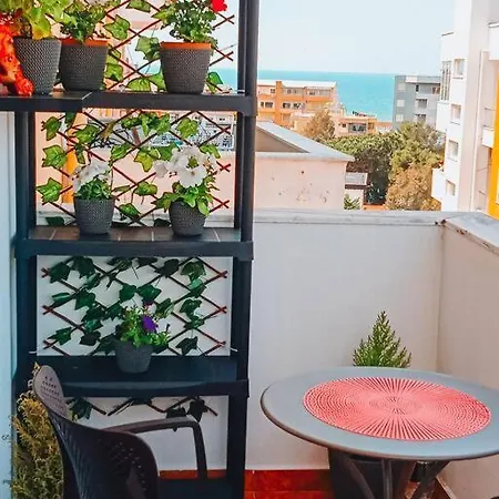 Cozy With A Balcony On The Sea *